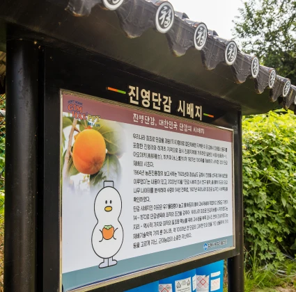 2025_gimhae_08_04.webp