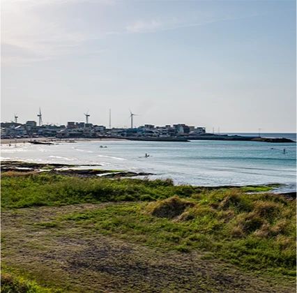 jeju2025_06_07.png
