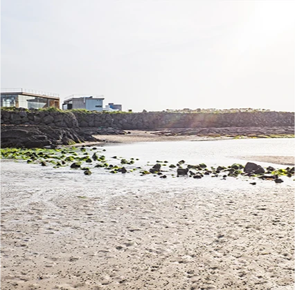 jeju2025_06_09.png