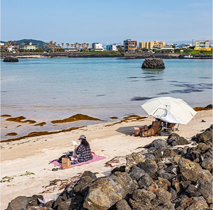 jeju2025_06_04.png