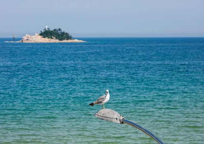 sokcho_2025_08_14.webp