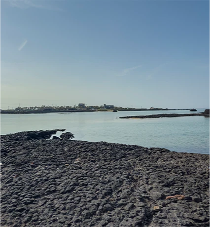 jeju2025_06_03.png
