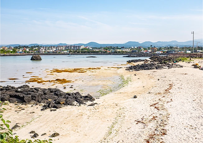 jeju2025_06_06.png