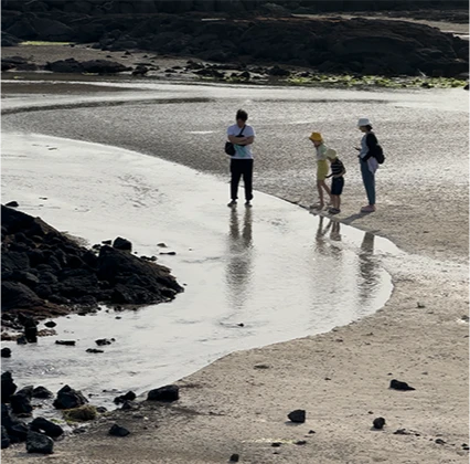 jeju2025_06_08.png