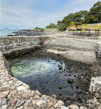 jeju2025_06_14.png