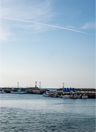 jeju2025_06_12.png