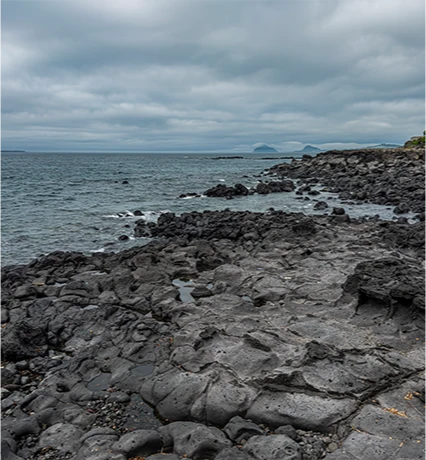jeju2025_06_15.png