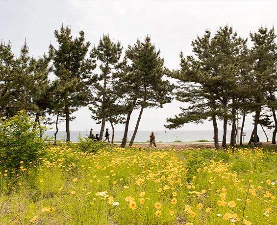 sokcho202406_31.png