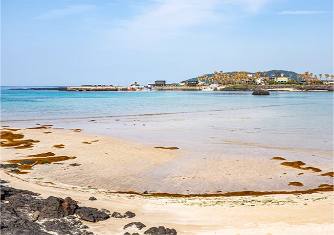 jeju2025_06_05.png