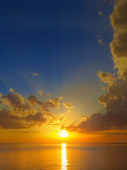 MIRACLE MORNING  