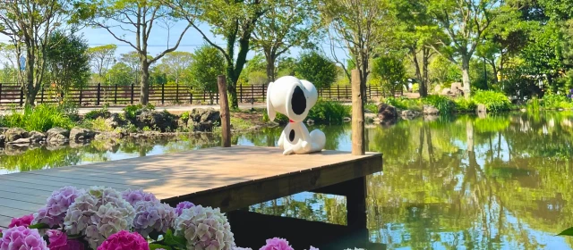 귤따기 체험 사진