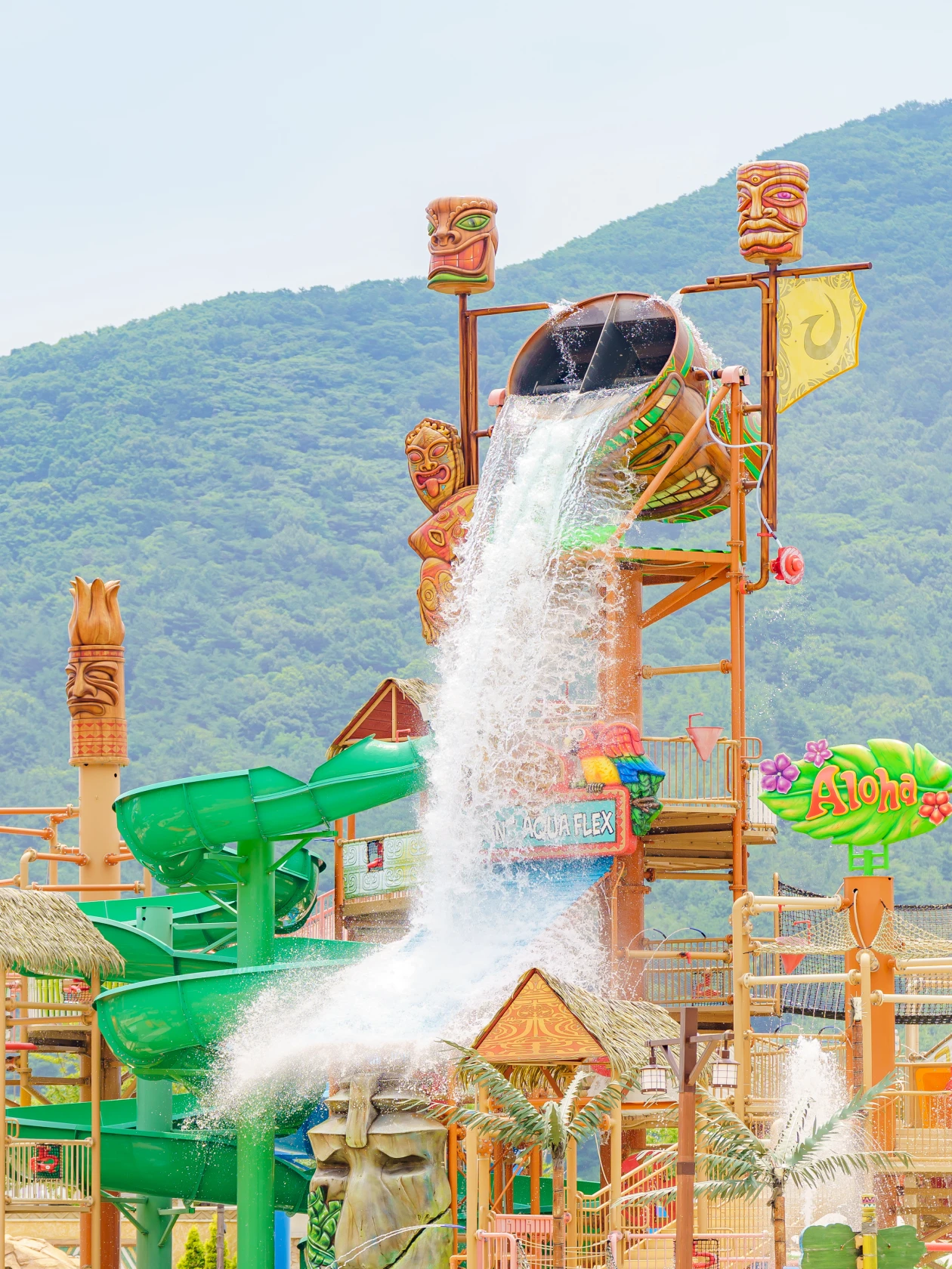 자이언트 아쿠아 플렉스